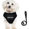 Dog Harness with Name id Customized for Small Dogs Puppy Harness Reflective Vest Harness Adjustable with Personalized Dog Name (Black)
