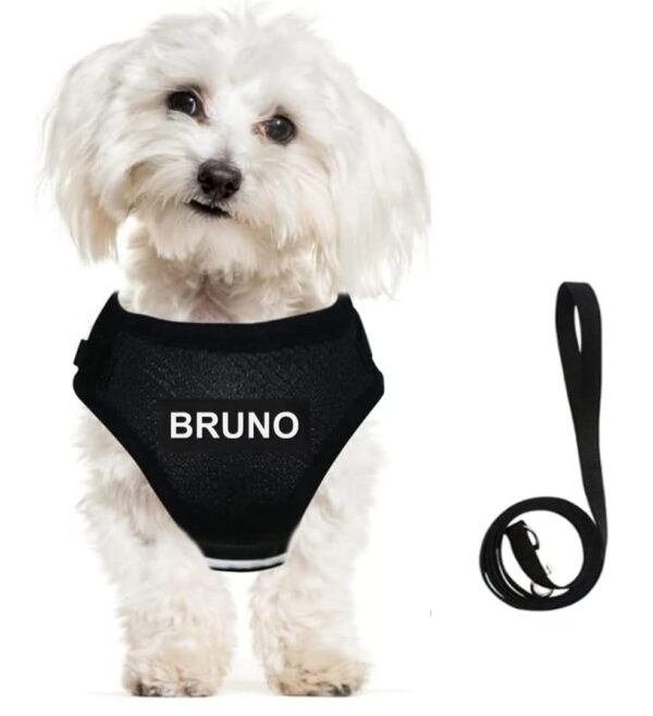 Dog Harness with Name id Customized for Small Dogs Puppy Harness Reflective Vest Harness Adjustable with Personalized Dog Name (Black)