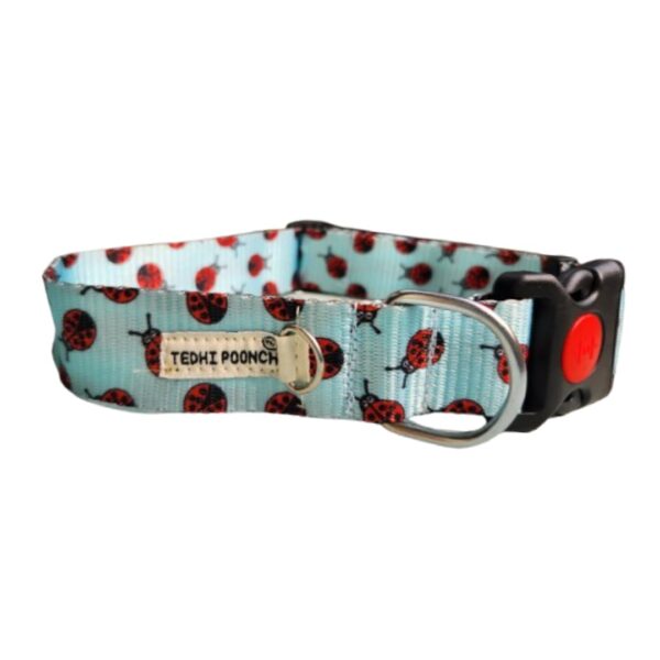 Premium Adjustable Printed Collar and Leash Set for Dogs & Puppies (Beetles Galore, Large)