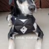 51LyRZjaWWL._SL1359_.jpg That Dog In Tuxedo Body Mesh Harness - Dog Tuxedo Harness (Black, Size L)