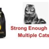 Organica Mild Fragrance Non-Dust Clumping Scoopable Smart Bentonite Clay Cat Litter 25 Litter (5 LT)