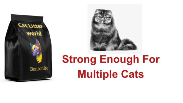 Organica Mild Fragrance Non-Dust Clumping Scoopable Smart Bentonite Clay Cat Litter 25 Litter (5 LT)