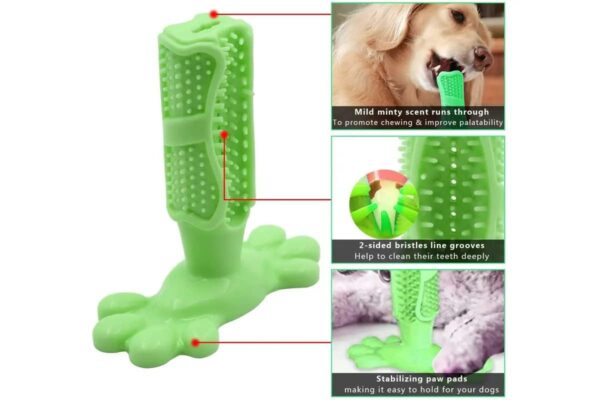 RvPaws Dog Toothbrush, Interactive Dog Chew Toy, Dog Brushing Stick, RvPaws Dog Toothbrush, Interactive Dog Chew Toy, Dog Brushing Stick, Chew Toy for Teeth Cleaning, Pet Molar Tooth Cleaning Brush Bone Stick, Dogs Oral Health and Dental Care - Color As Available