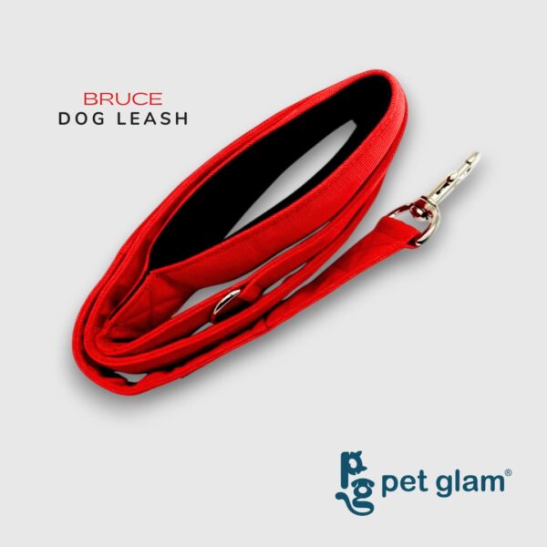 Heavy Duty Dog Leash for Large Dogs – No Pull, 5ft Nylon Leash with Padded Handle & Strong Metal Hook – Tangle-Free, Comfortable Dog Lead for Training & Walking – Bruce