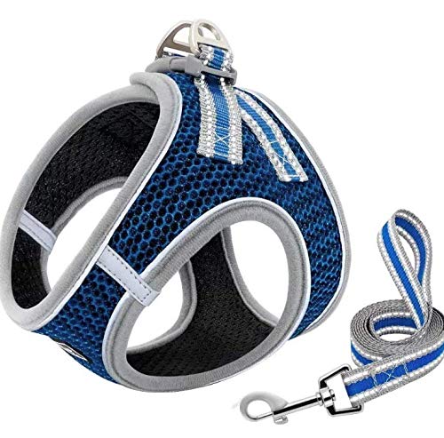 51TWwhflSyL.jpg KUTKUT Adjustable Dog Harness, No Pull for Small Dog, Reflective, Breathable & Soft Mesh Padded Step-in Vest & Leash Set for Outdoor Walking Escape Proof (Size: XL, Pet Weight 7-10Kg, Chest: 47-53cm)