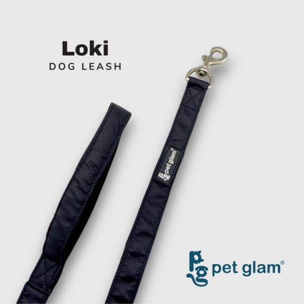 51UjmE-tDL._SL1080_.jpg Dog Leash for Large Dogs-Loki-for Big Dogs-with Padded Handle-5 Ft Long 1 inch Wide