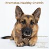 Pet Bamboo Chew Star Toy for Dogs – Fun & Interactive Exercise Play Toy, Durable and Safe for Chewing, Teething, and Dental Health-Brown
