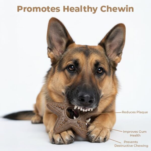 Pet Bamboo Chew Star Toy for Dogs – Fun & Interactive Exercise Play Toy, Durable and Safe for Chewing, Teething, and Dental Health-Brown