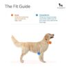 Heads Up For Tails Classic Nylon Dog H Harness - Orange - L