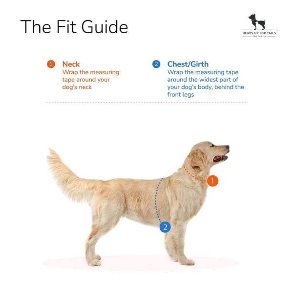 Heads Up For Tails Classic Nylon Dog H Harness - Orange - L