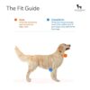 51Z-STMItZL._SL1000_.jpg HUFT Active Pet Dog Harness - Royal Blue (S) | Lightweight Adjustable Harness for Puppies, Small Dogs, and Medium Dogs | Durable and Stylish Dog Leash and Harness for Training & Everyday Use