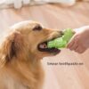 51avR5ILlL._SL1200_.jpg RvPaws Dog Toothbrush, Interactive Dog Chew Toy, Dog Brushing Stick, Chew Toy for Teeth Cleaning, Pet Molar Tooth Cleaning Brush Bone Stick, Dogs Oral Health and Dental Care - Color As Available