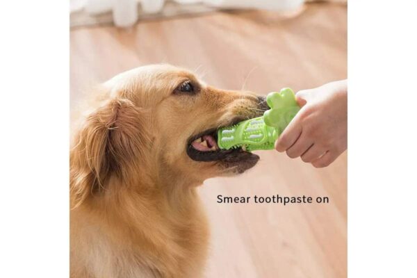 51avR5ILlL._SL1200_.jpg RvPaws Dog Toothbrush, Interactive Dog Chew Toy, Dog Brushing Stick, Chew Toy for Teeth Cleaning, Pet Molar Tooth Cleaning Brush Bone Stick, Dogs Oral Health and Dental Care - Color As Available