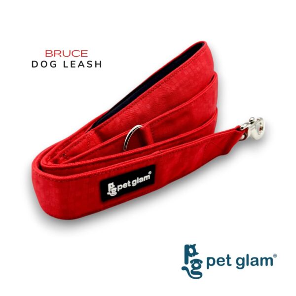 Heavy Duty Dog Leash for Large Dogs – No Pull, 5ft Nylon Leash with Padded Handle & Strong Metal Hook – Tangle-Free, Comfortable Dog Lead for Training & Walking – Bruce