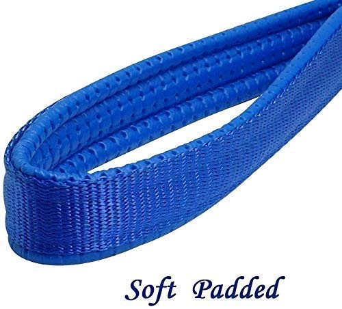 PSK PET MART Heavy Duty Dog Leash Metal Dog Leash Dog Chain with Padded Handle (Large, Blue)