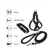 PSK PET MART Dog Combo Pack of Harness, Neck Collar Belt and Rope Set (Black, Medium)