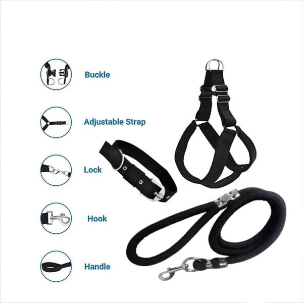 PSK PET MART Dog Combo Pack of Harness, Neck Collar Belt and Rope Set (Black, Medium)