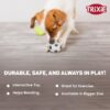 51dctqxIGPL.jpg Trixie Football Vinyl Rubber Dog Toy - L, 10 cm | Durable, Non-Toxic Chew Toy for Dog of All Breeds Recommendation, Lightweight and Attractive in Color to Keep Your Pet Engaged for Hours