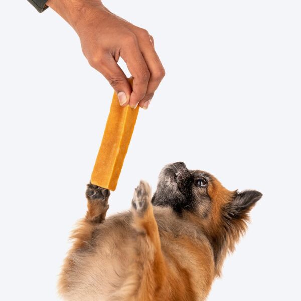 Heads Up For Tails Huft Yakies Organic Dog Chew Bone For All Life Stages (Large 3 Pcs)