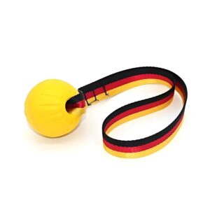 Ball with Rope, Durable Dog Toys for Large Dogs and Ball with Rope, Durable Dog Toys for Large Dogs and Puppies, Interactive Dog Rope Toy for Training and Play Ball for Dental Clean(15.7in)