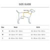 51dwLxhWH8L._SL1000_.jpg HUFT Active Pet Dog Harness - Royal Blue (S) | Lightweight Adjustable Harness for Puppies, Small Dogs, and Medium Dogs | Durable and Stylish Dog Leash and Harness for Training & Everyday Use