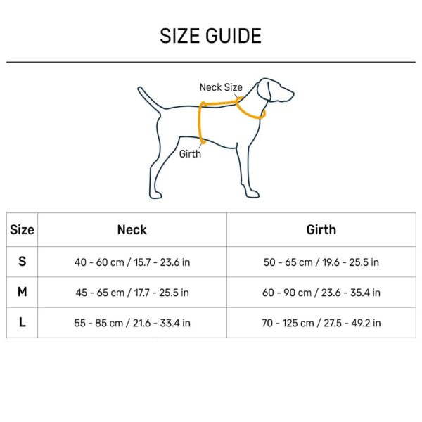 51dwLxhWH8L._SL1000_.jpg HUFT Active Pet Dog Harness - Royal Blue (S) | Lightweight Adjustable Harness for Puppies, Small Dogs, and Medium Dogs | Durable and Stylish Dog Leash and Harness for Training & Everyday Use