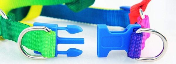 Sage Square Rainbow Colour Weave Nylon Pet Rope Dog Harness Training Walking Leash (Medium)
