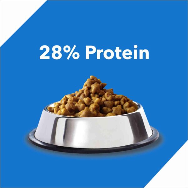 Drools Tuna & Salmon Dry Adult Cat Food, 7kg