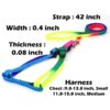 Dog Trust 10 MM Rainbow Color Rainbow Multicolor Dog Adjustable Harness/Leash/Collar for Small Dogs