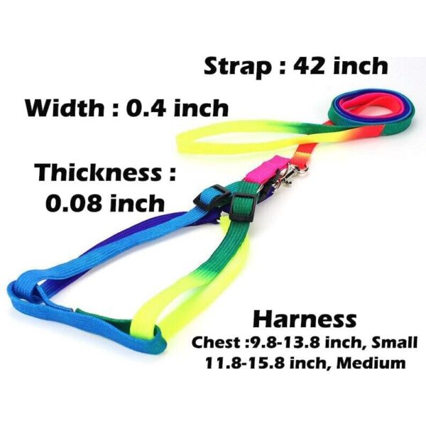 Dog Trust 10 MM Rainbow Color Rainbow Multicolor Dog Adjustable Harness/Leash/Collar for Small Dogs