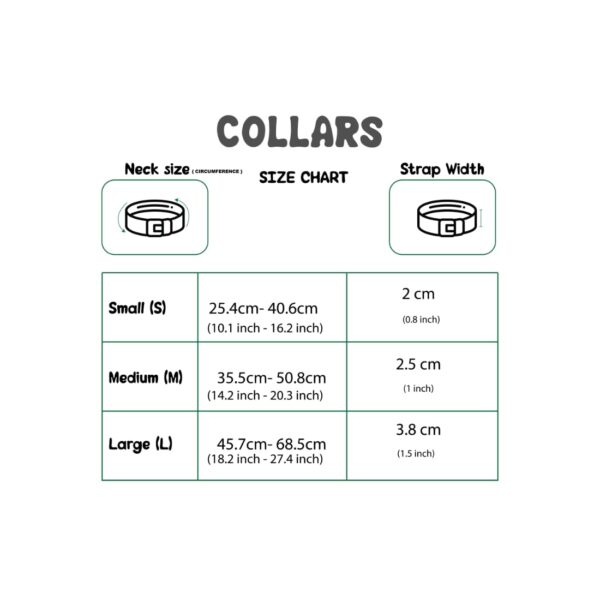 Premium Adjustable Printed Collar and Leash Set for Dogs & Puppies (Beetles Galore, Small)