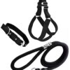 No Pull Dog Harness - Step in Dog Harness and No Pull Dog Harness - Step in Dog Harness and Leash for Small Medium Large Dog - Escape Proof Adjustable Soft Leash Collar Set for Walking Training Hiking Outdoor, 15 Cm, 15 Cm