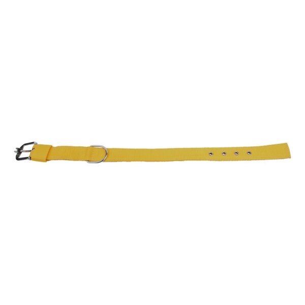 MUNCHOS Double Strip Dog 1.25 Inchi Collar for Large Dogs (Colour May Vary)