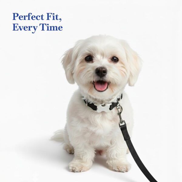 PETS EMPIRE Classic Dog Collar & Leash Set with Bow – Elegant Adjustable Collar[2.5*(46-55) cm] & Leash(2.5 * 150cm) for Large Dog Breeds (Large, Black)