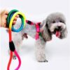 Dog Trust 10 MM Rainbow Color Rainbow Multicolor Dog Adjustable Harness/Leash/Collar for Small Dogs
