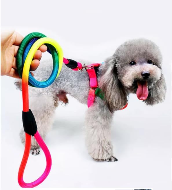 Dog Trust 10 MM Rainbow Color Rainbow Multicolor Dog Adjustable Harness/Leash/Collar for Small Dogs