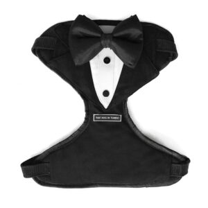 That Dog In Tuxedo Body Mesh Harness - Dog Tuxedo That Dog In Tuxedo Body Mesh Harness - Dog Tuxedo Harness (Black, Size L)