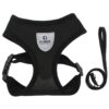 Kuber Industries Small Dog/Cat Chest Harness with Nylon Leash I No Pull, Soft Padded and Breathable Pet Vest I Adjustable, Reflective I Easy Control Pet Chest Belt I (Small, Black)