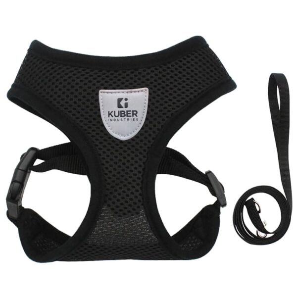 Kuber Industries Small Dog/Cat Chest Harness with Nylon Leash I No Pull, Soft Padded and Breathable Pet Vest I Adjustable, Reflective I Easy Control Pet Chest Belt I (Small, Black)