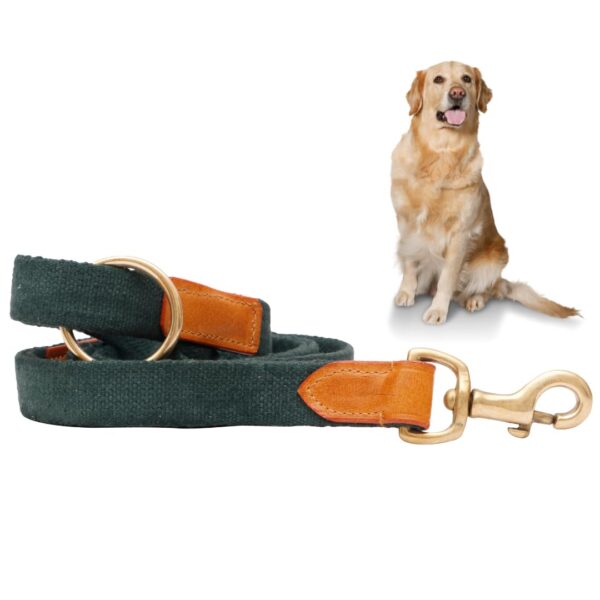 Vama Leathers I Heavy Duty Strong Leash I Anti Slip Vama Leathers I Heavy Duty Strong Leash I Anti Slip Leash I 100% Cotton I Soft & Comfortable to Hold I 2 Handle Leash I for Giant, Ex Large & Large Dogs I Army Green