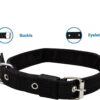 Dog Combo Pack of Harness, Neck Collar Belt and Rope Set (Black, Medium, Waterproof, Rope Size 1.5M-2M) (Black)