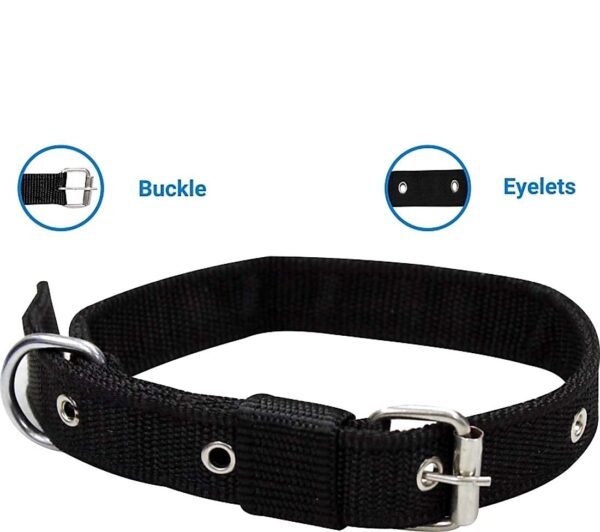 Dog Combo Pack of Harness, Neck Collar Belt and Rope Set (Black, Medium, Waterproof, Rope Size 1.5M-2M) (Black)