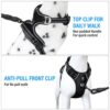 HANK Dog Harness | 3M Reflective Strap | Dog Body Vest for Medium Dogs | Soft Comfortable Padded | Anti Pull Harness for Walking, Training (Black - M (14-22Kg)