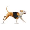 51mjTQJZOCL._SL1500_.jpg amazon basics Adjustable Comfort Harness Reflective Harness No Pull Dog Harness for Outdoor Control Medium, Black