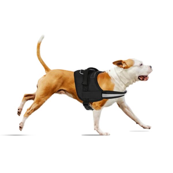 51mjTQJZOCL._SL1500_.jpg amazon basics Adjustable Comfort Harness Reflective Harness No Pull Dog Harness for Outdoor Control Medium, Black