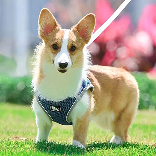 51n6ZVGTrxL.jpg KUTKUT Adjustable Dog Harness, No Pull for Small Dog, Reflective, Breathable & Soft Mesh Padded Step-in Vest & Leash Set for Outdoor Walking Escape Proof (Size: XL, Pet Weight 7-10Kg, Chest: 47-53cm)