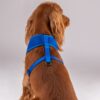 HUFT Classic Mesh Dog Harness - Blue - S: 12.5-18.1"