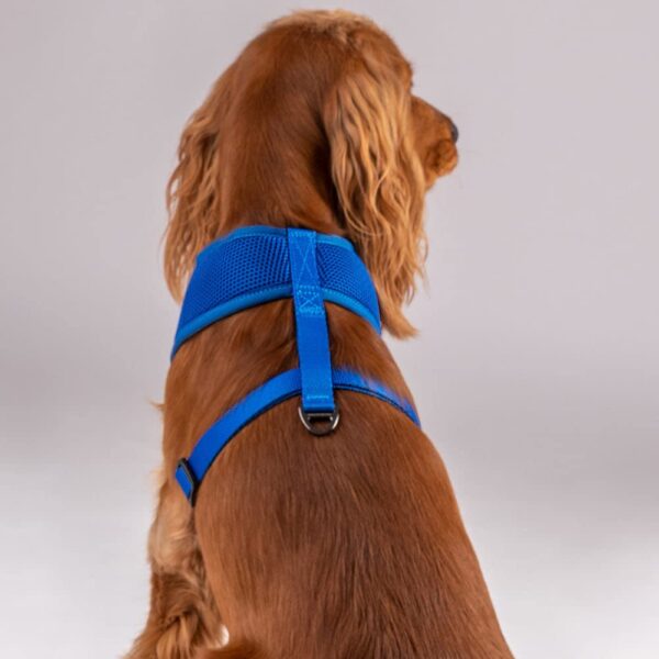 HUFT Classic Mesh Dog Harness - Blue - S: 12.5-18.1"