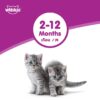 51noUgX5pUS._SL1080_.jpg Whiskas Cat Food Junior Tuna, 85 g