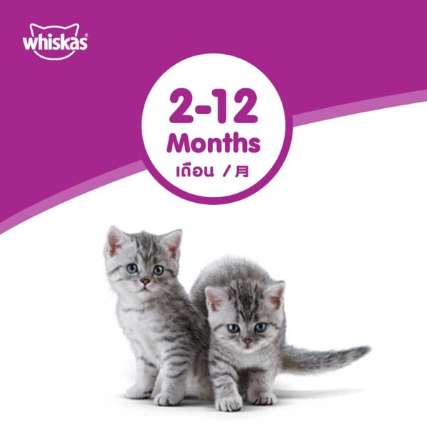 51noUgX5pUS._SL1080_.jpg Whiskas Cat Food Junior Tuna, 85 g